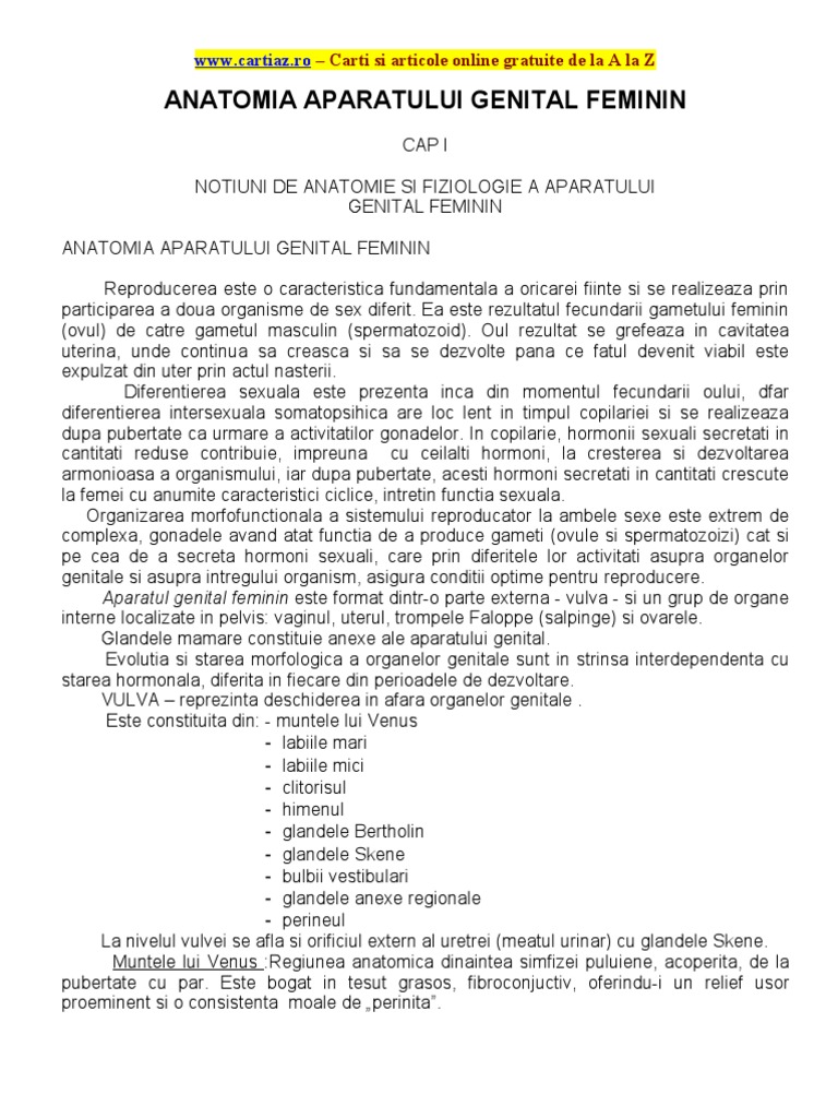 Anatomia Aparatului Genital Feminin | PDF
