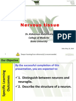 ' 12 - Nervous Tissue - 2020 1