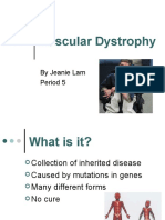 Muscular Dystrophy: by Jeanie Lam Period 5