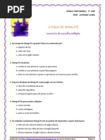 A Fuga de Wang-Fô - quest. interpretação global (blog7 10-11)