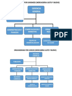 ORGANIGRAMAS