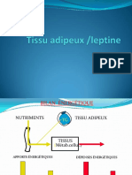 Tissu_adipeux_leptine.pdf;filename_= UTF-8''Tissu adipeux leptine