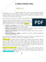 RESUMEN DE DERECHO PROCESAL PENAL (Autoguardado)