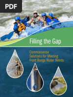 Download Filling the Gap by summitdaily SN49818093 doc pdf