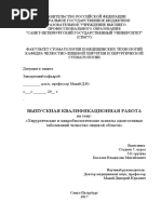 Diplom Finalnyj