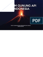 Album Gunung API Indonesia Plus Cover