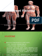 Anfis Anatomi Fisiologi Sel Jaringan