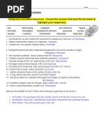 Cell Structure and Function Quiz Answers | PDF | Cytoplasm | Vacuole