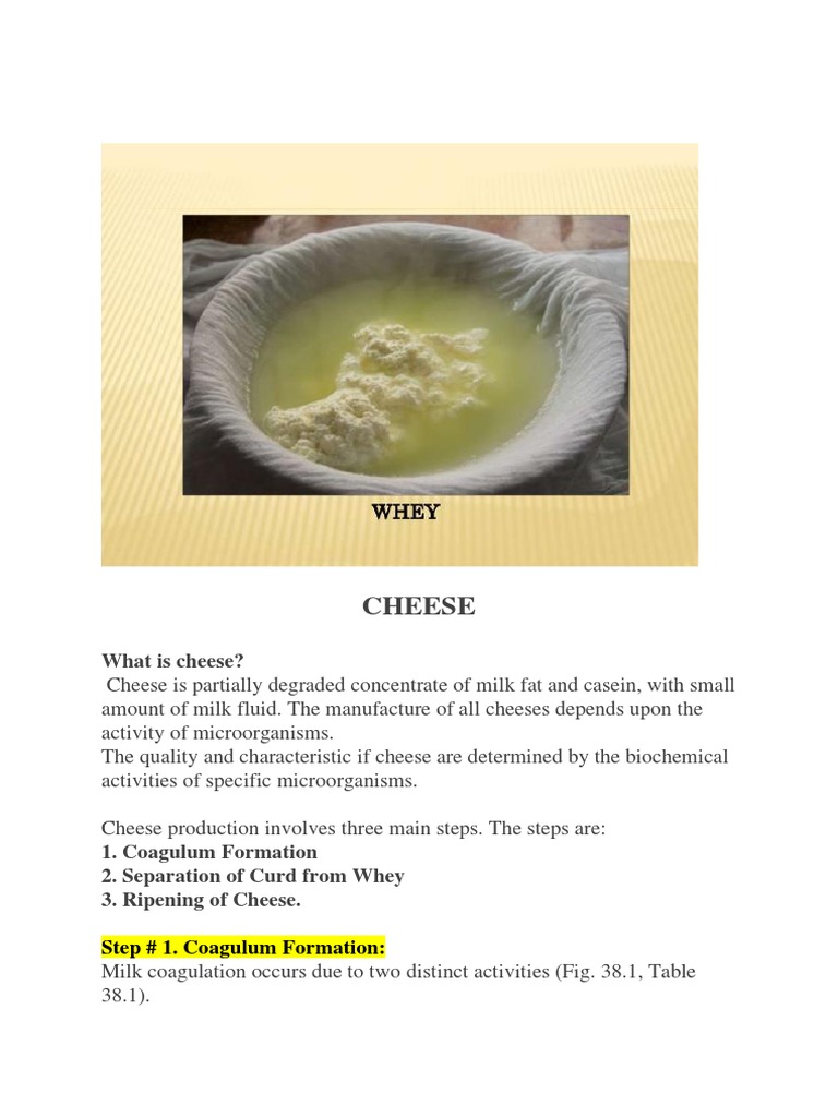 Cheese Production PDF Cheese Protease