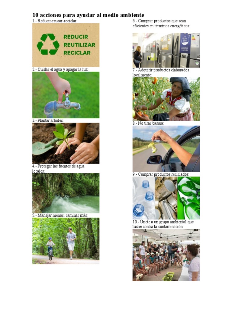 10 acciones para cuidar el medio ambiente | PDF | Ciencia y matemáticas