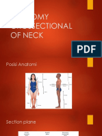 Anatomy Crossectional of Neck