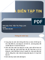 Slide Viet Bien Tap Tin