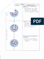 Platelet Maturation-Stages