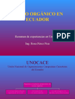 01 ExperienciaUNOCACE Cacao Organico