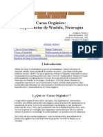 Cacao Orgánico Nicaragua