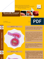 LAMINARIO Desarrollo Prenatal