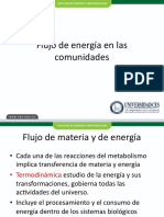 Flujo Energia