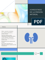 Homeostasis de La Presión Arterial