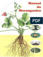 Manual Do Morangueiro1 1369212769