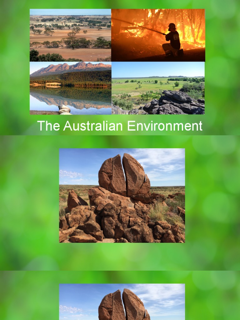 The Australian Environment Voca Bulary | PDF | Science & Mathematics