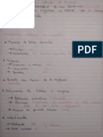 Observaciones Proyecto Terminal