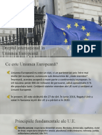 Dreptul Internațional În Uniunea Europeană (2)
