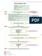 Algorithm 2: Essential Newborn Care: Birth