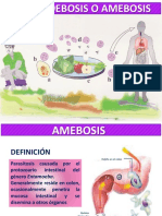 2 Amebosis 2018