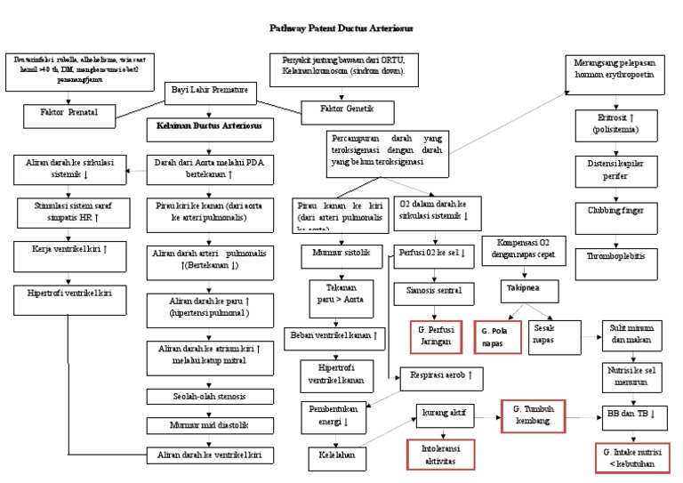 Jalur Patofisiologi PDA pada Bayi | PDF