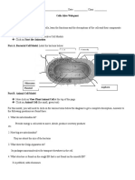 Cells Alive Webquest