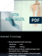 Sistem Muskuloskeletal 1