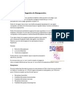 Clase 4.2 Diagnóstico de hemoparásitos 2020