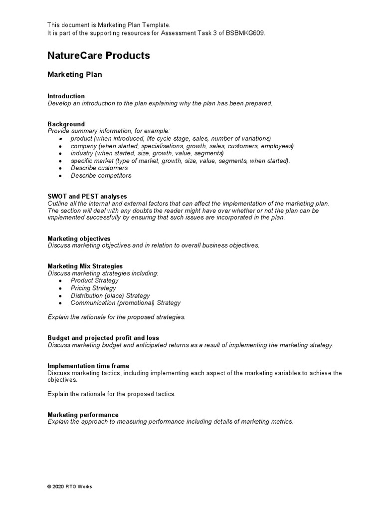 Marketing Plan Template | PDF | Business | Finance & Money Management