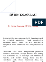 SISTEM KOAGULASI