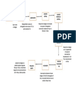 Flujograma Cadena de Frio