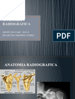 ANATOMIA RADIOGRAFICA Comparativa Noveno Semestre