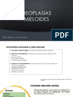 2.1 neoplasias mieloides