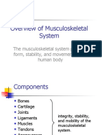 Overview of Musculoskeletal System: The Musculoskeletal System Provides Form, Stability, and Movement To The Human Body