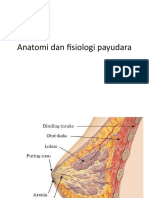 Anatomi Dan Fisiologi Payudara