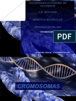 Cromosomas Clase 2020 Expo