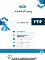 Chapter 3 Mechanical Injury