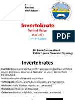 Invertebrate: Second Stage 2020-2021