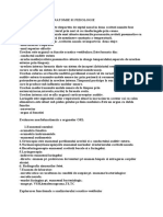 Notiuni de Anatomie Si Fiziologie Orl