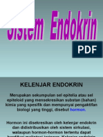 Sistem Endokrin