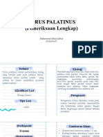 IPM Variasi Norrmal Torus Palatinus + PL