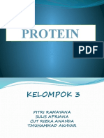 Protein dalam tubuh