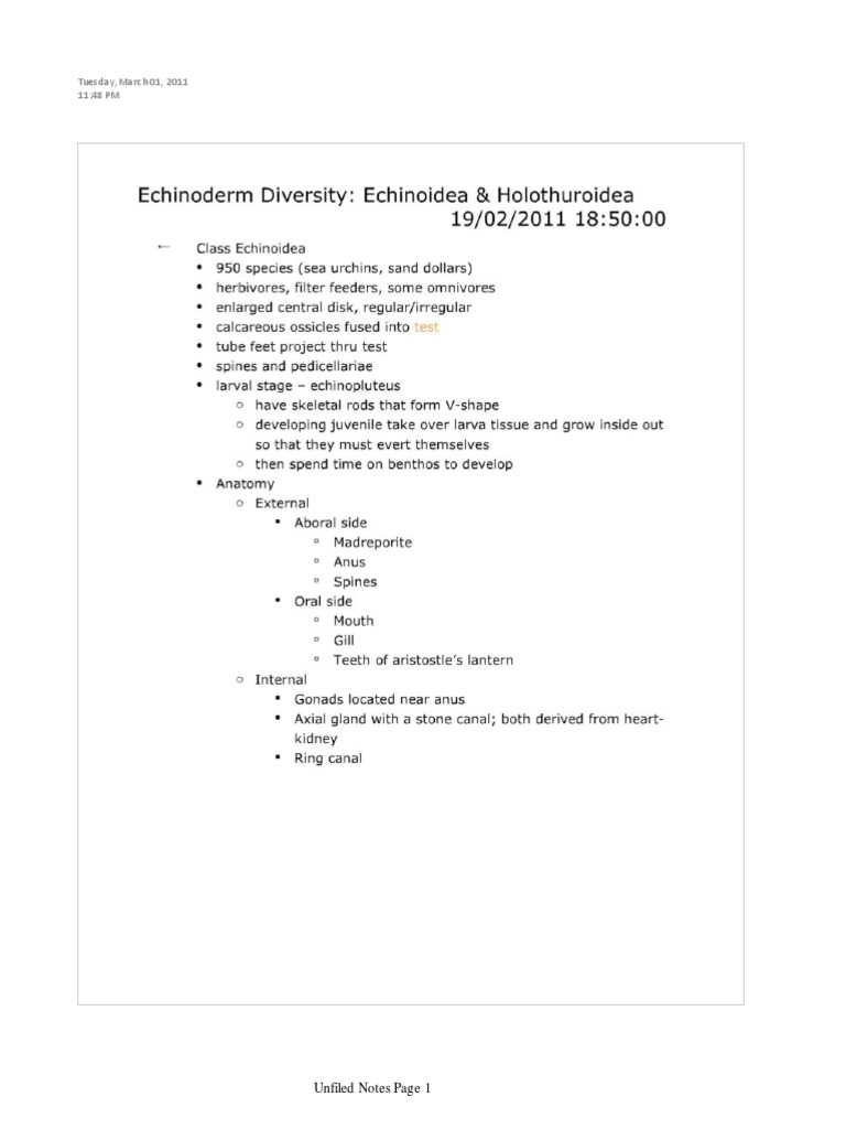 Echinoidea and | PDF