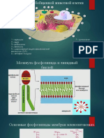 Лекция 2