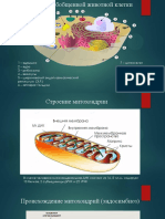 Лекция 3