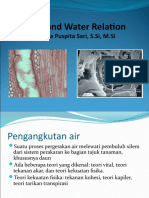 Plant and Water Relation New